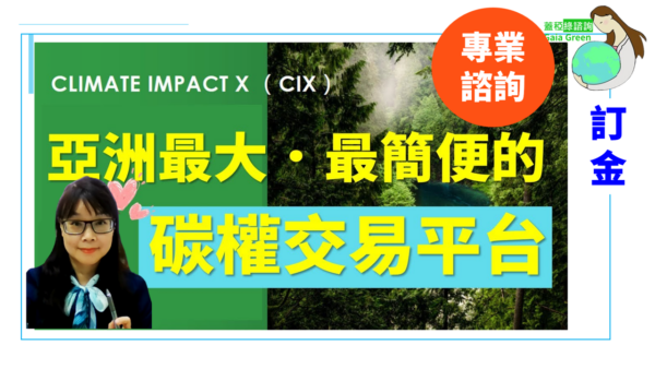 CIX 諮詢服務(首付款)